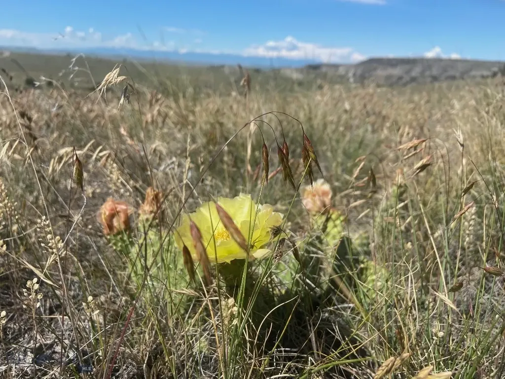 Lot 33 Gallatin River Ranch Manhattan MT 59741