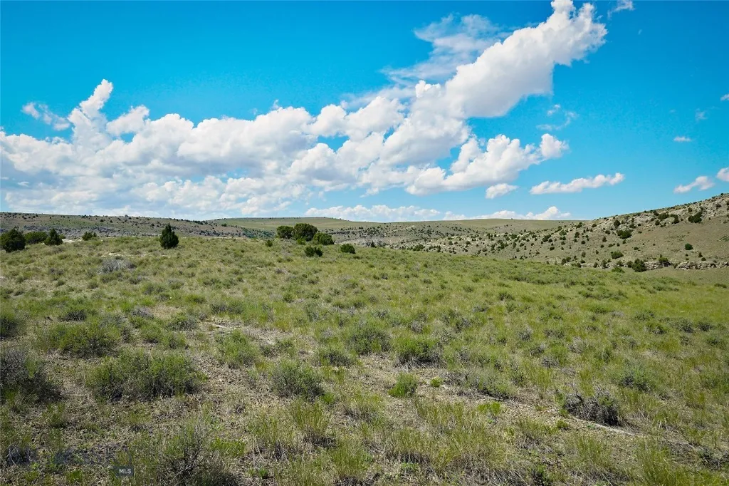 Lot 33 & 39 Gallatin River Ranch Manhattan MT 59741