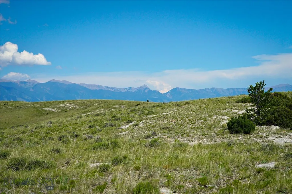 Lot 33 & 39 Gallatin River Ranch Manhattan MT 59741