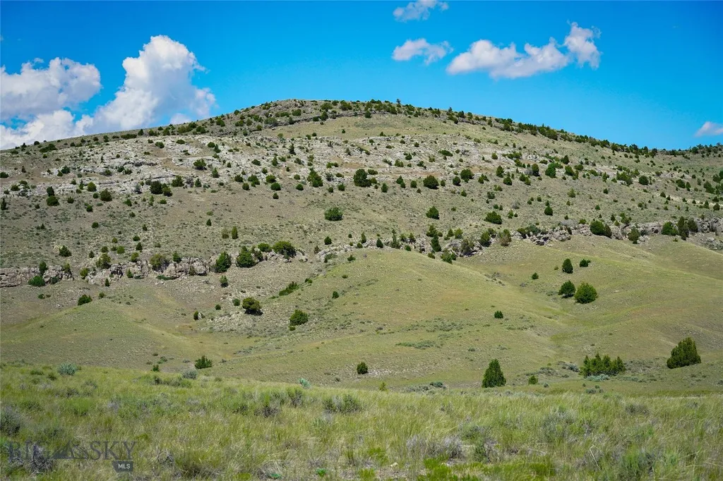 Lot 33 & 39 Gallatin River Ranch Manhattan MT 59741