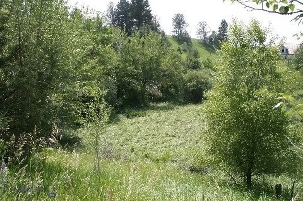 Tbd Sunrise Ridge Trail Bozeman MT 59718