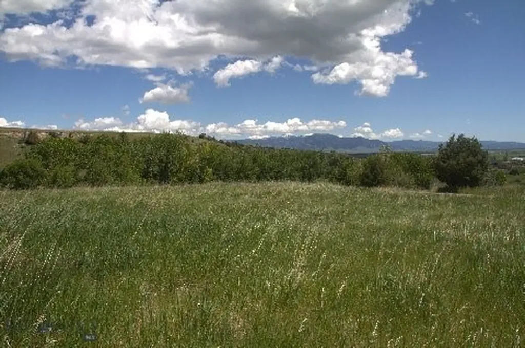 Tbd Sunrise Ridge Trail Bozeman MT 59718