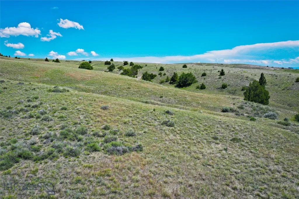 Lot 39 Gallatin River Ranch Manhattan MT 59741