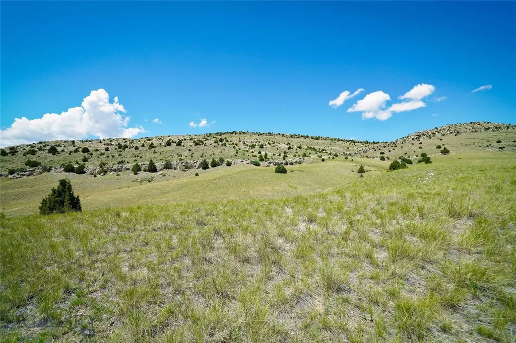 Lot 39 Gallatin River Ranch Manhattan MT 59741
