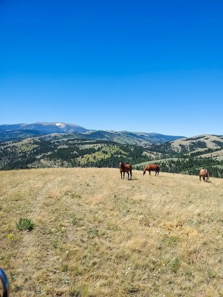 Townsend MT 59644
