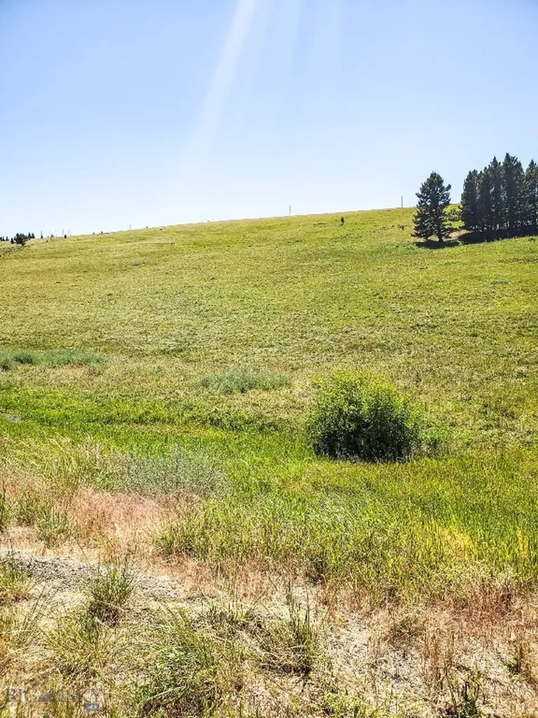 Townsend MT 59644
