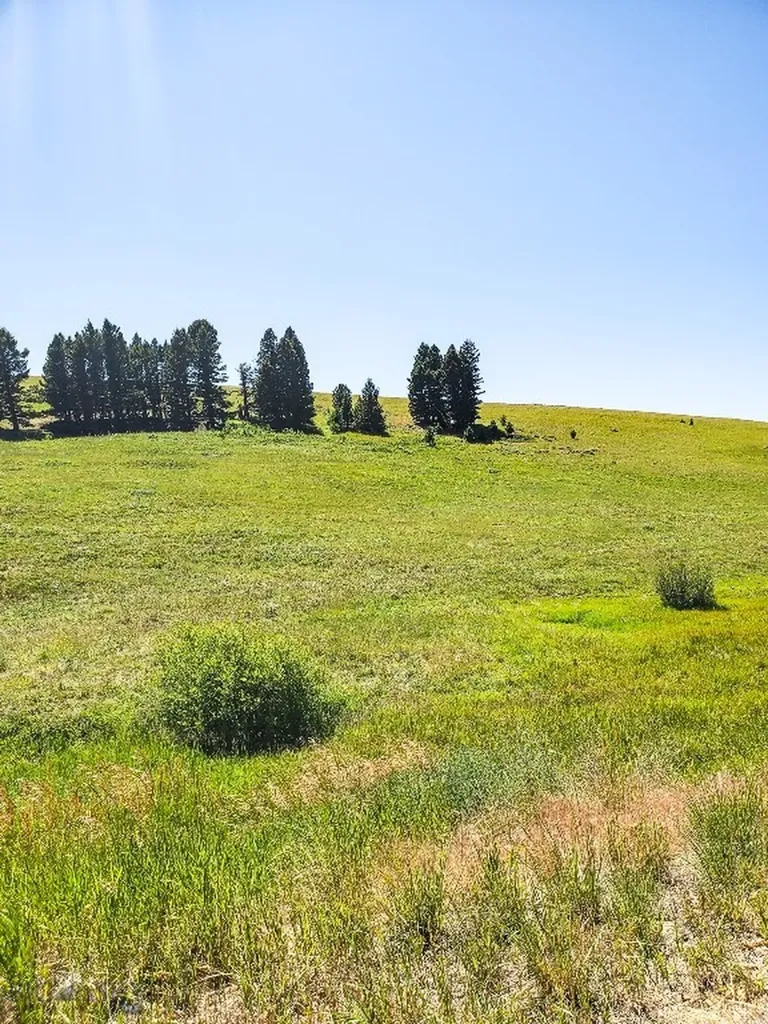 Townsend MT 59644