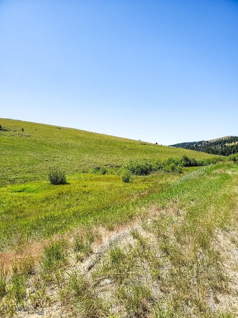 Townsend MT 59644