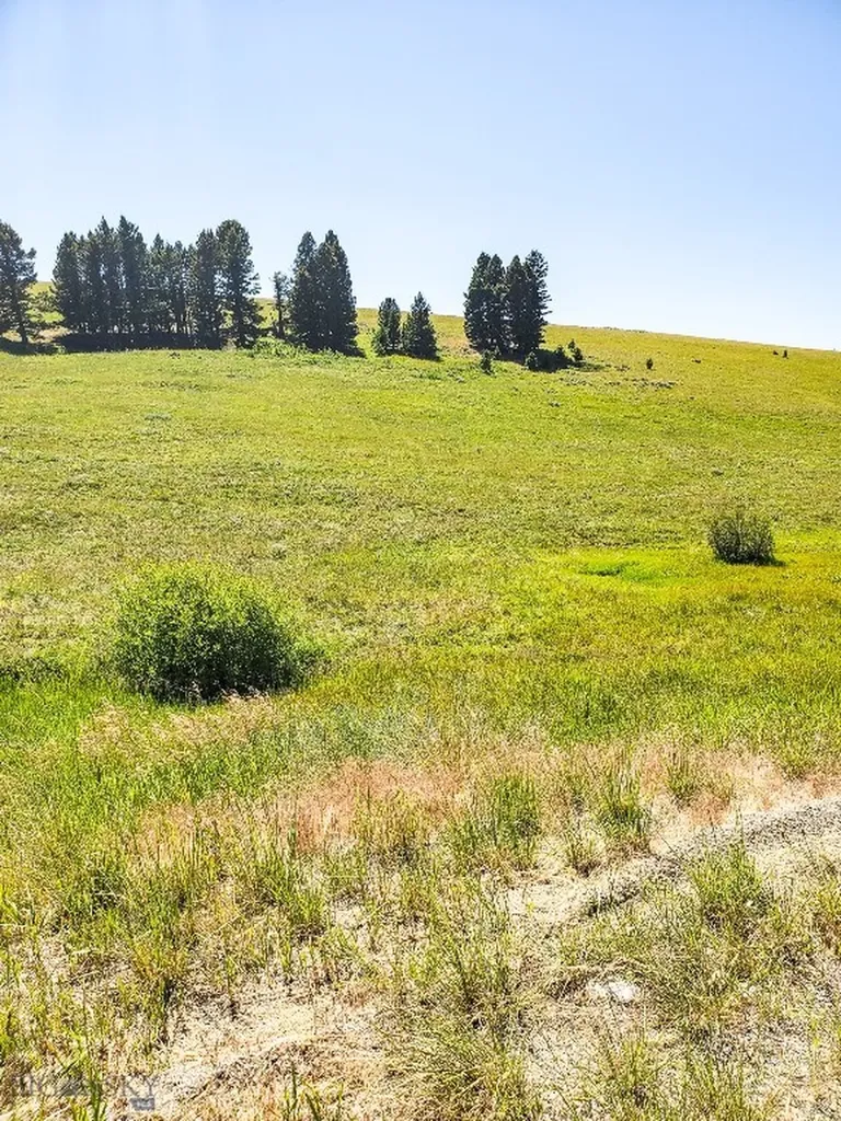 Townsend MT 59644