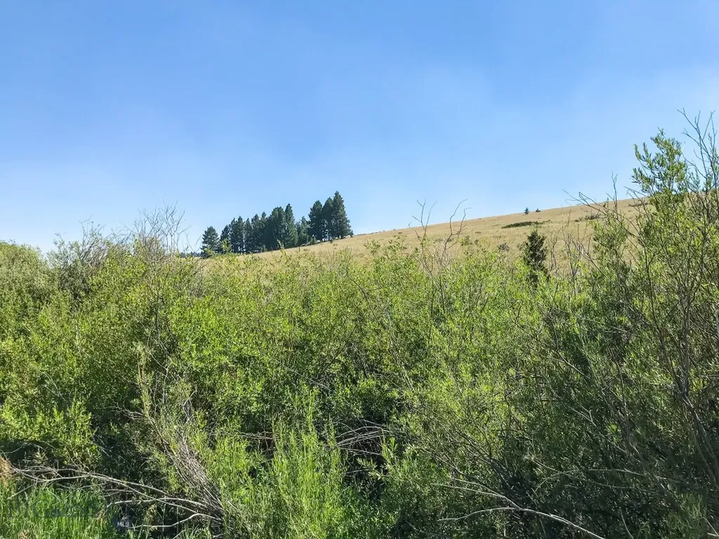 Townsend MT 59644