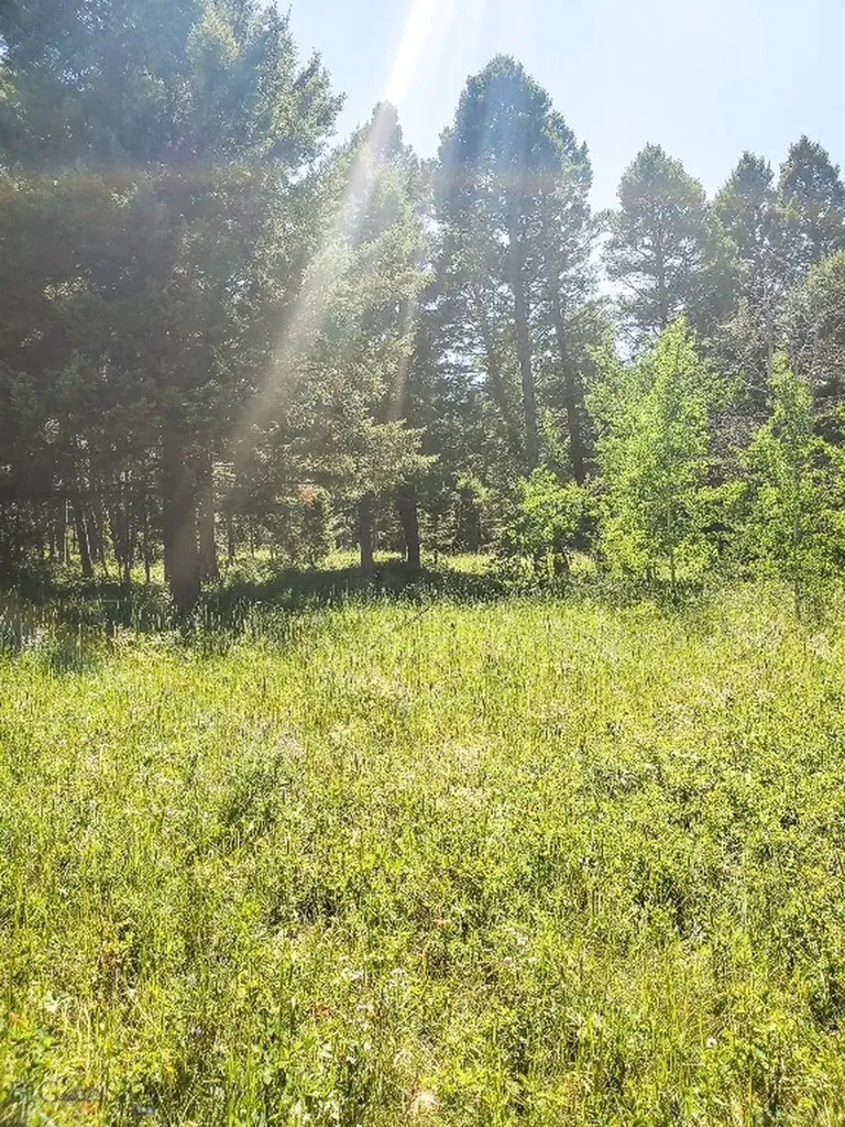 Townsend MT 59644