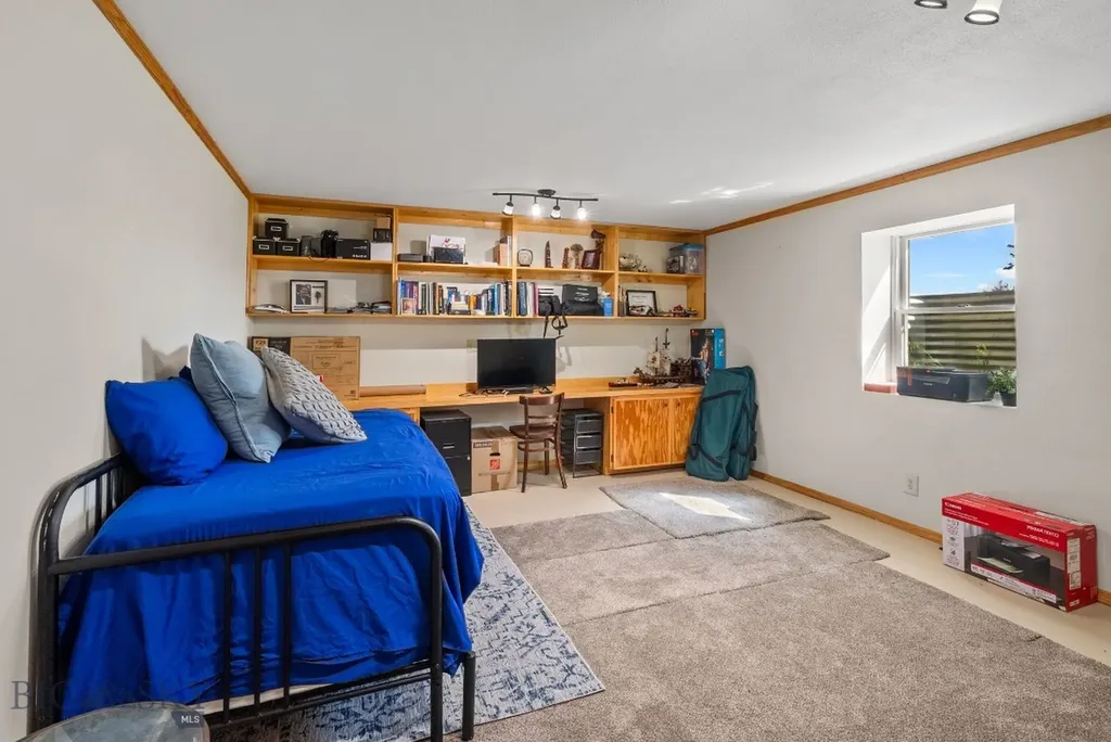 376 Badger Run Drive Dillon MT 59725