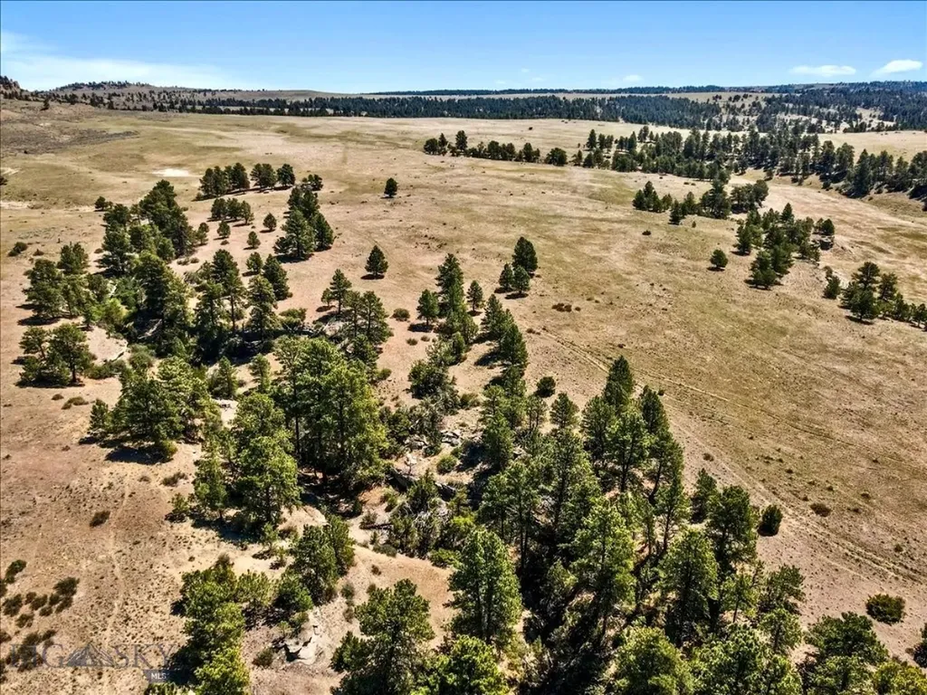 0 Miller Butte Park City MT 59063