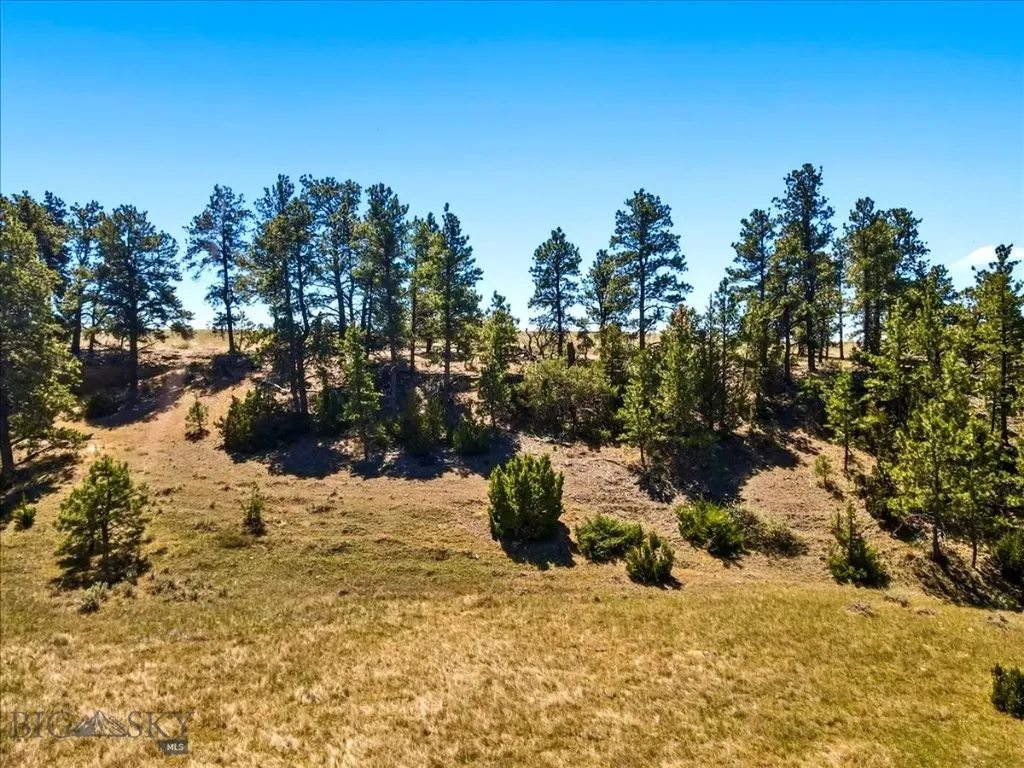 0 Miller Butte Park City MT 59063