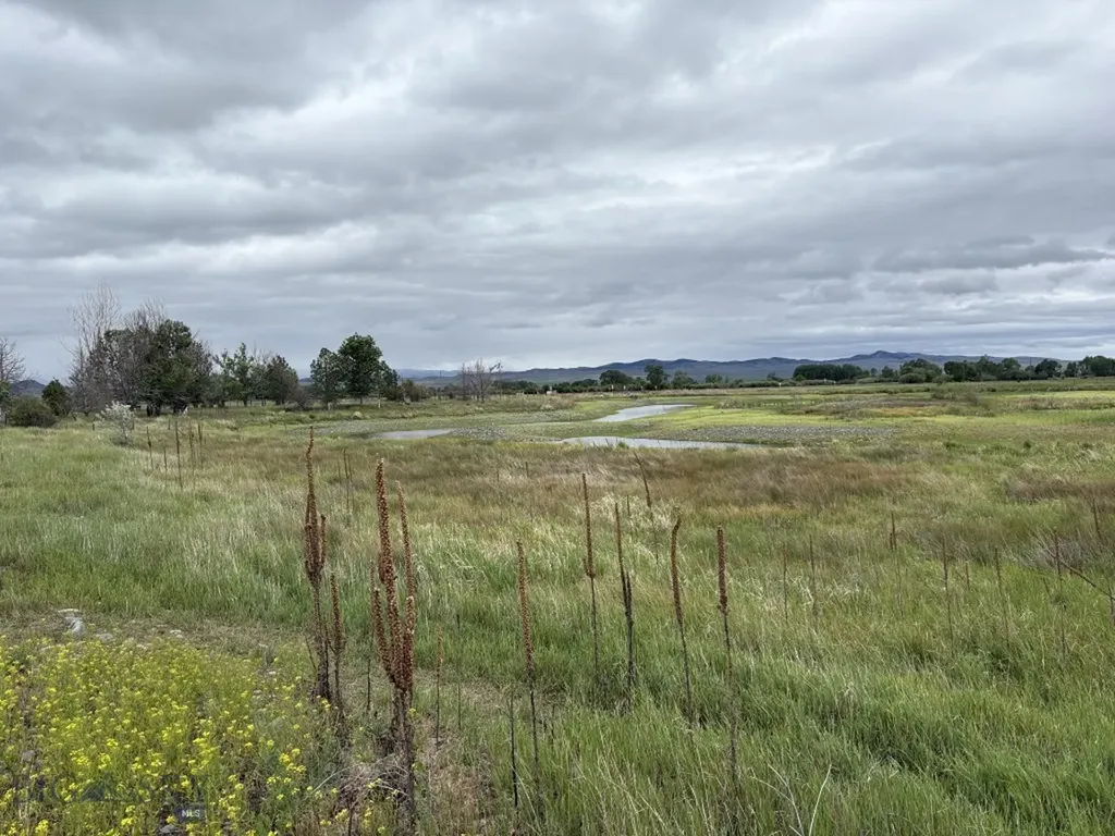 574 Mt Highway 285 Toston MT 59643