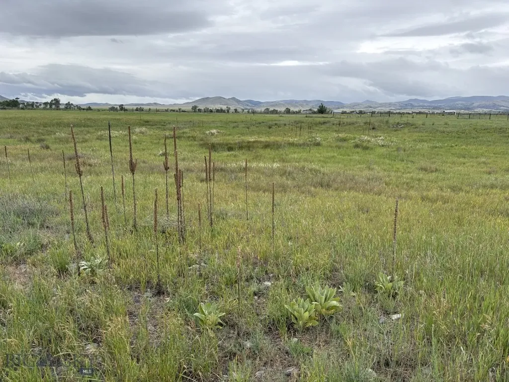 574 Mt Highway 285 Toston MT 59643