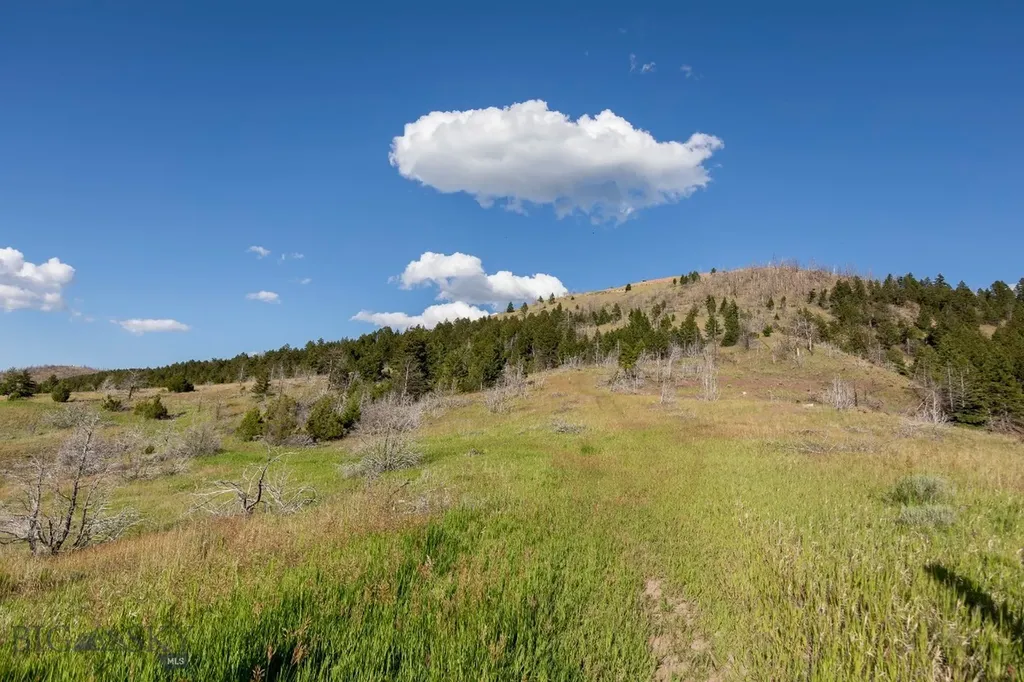 380 Lone Wolf Trail Three Forks MT 59752