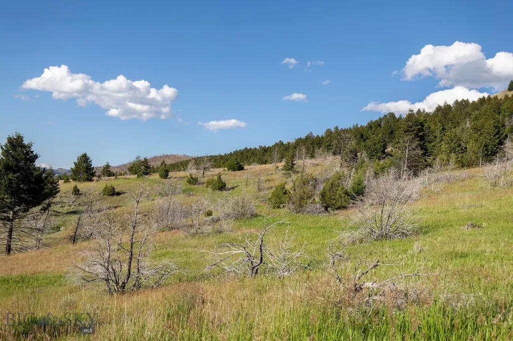 380 Lone Wolf Trail Three Forks MT 59752