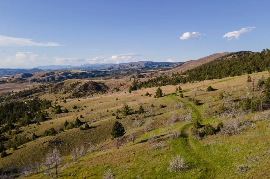 380 Lone Wolf Trail Three Forks MT 59752