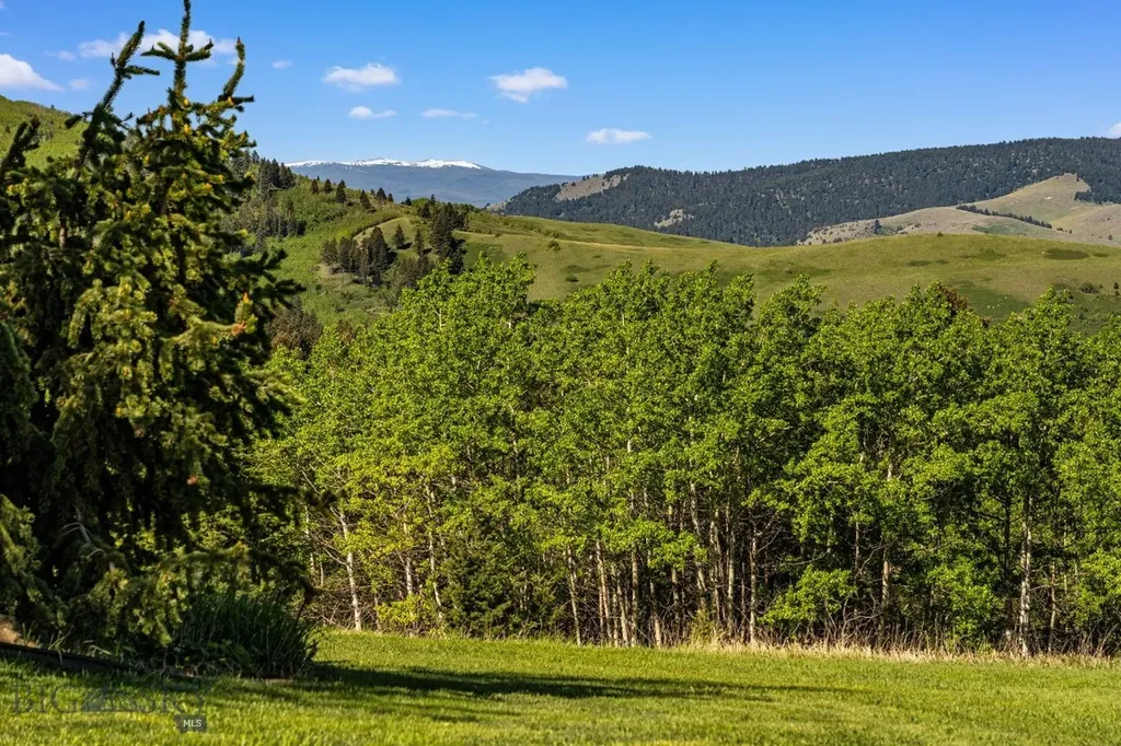303 S Big Elk Meadow Road Gallatin Gateway MT 59730