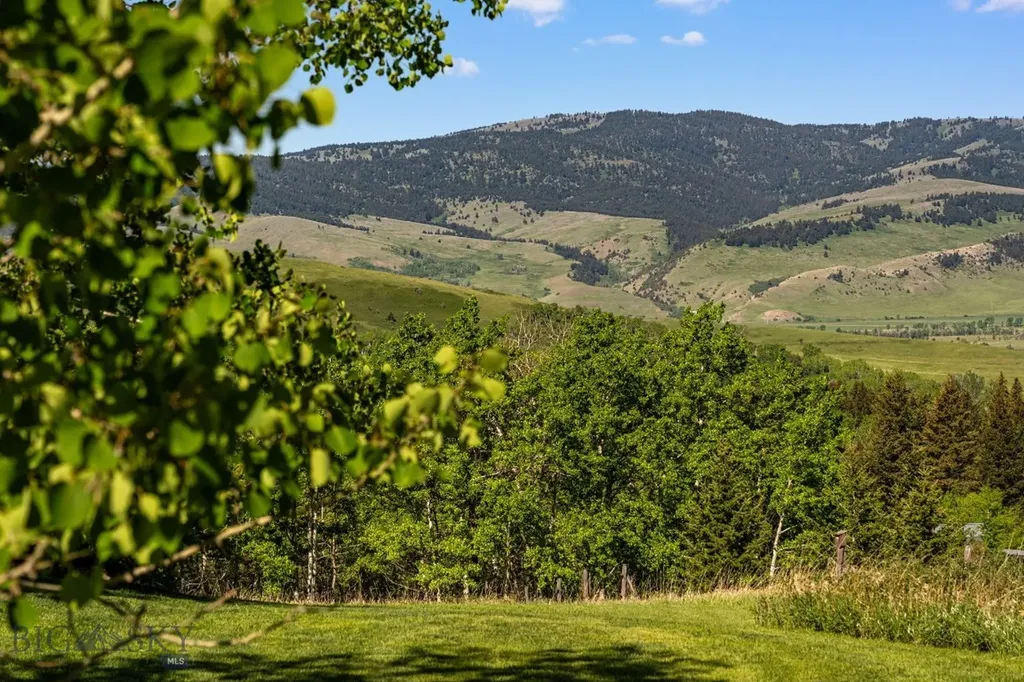 303 S Big Elk Meadow Road Gallatin Gateway MT 59730