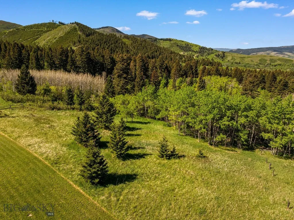303 S Big Elk Meadow Road Gallatin Gateway MT 59730