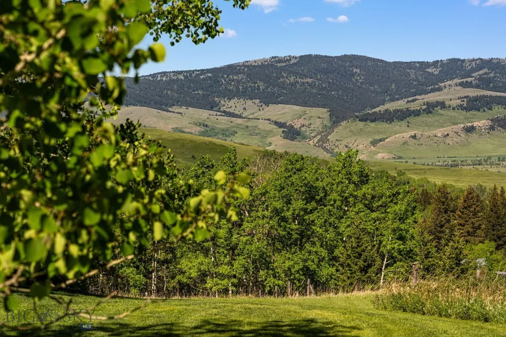 303 S Big Elk Meadow Road Gallatin Gateway MT 59730