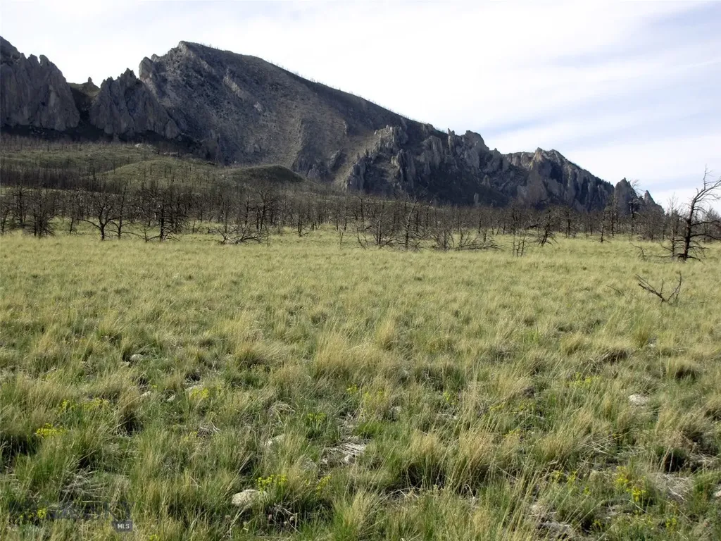 Tbd Ranger Way Red Lodge MT 59068