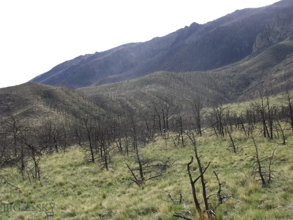 Tbd Ranger Way Red Lodge MT 59068