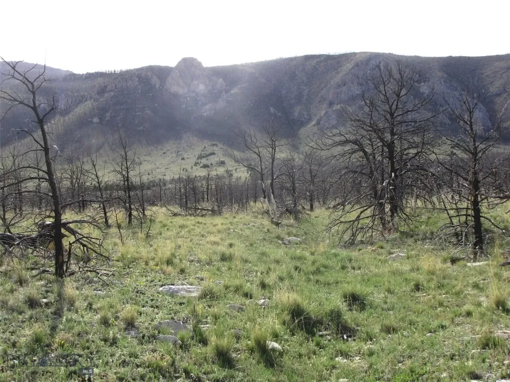 Tbd Ranger Way Red Lodge MT 59068