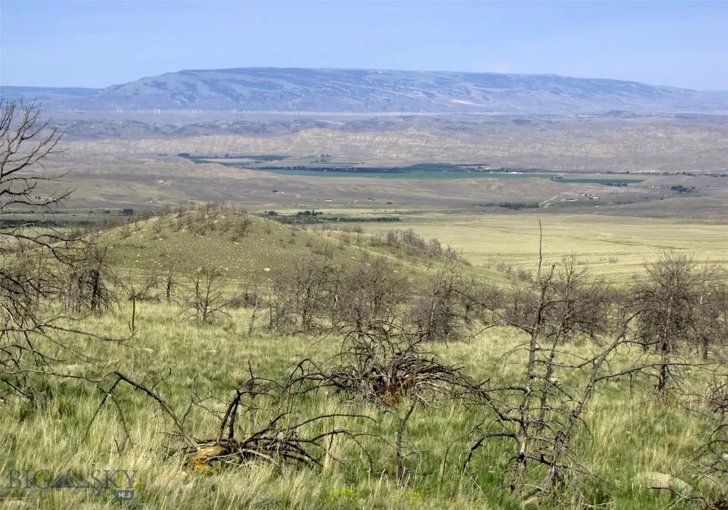 Tbd Ranger Way Red Lodge MT 59068