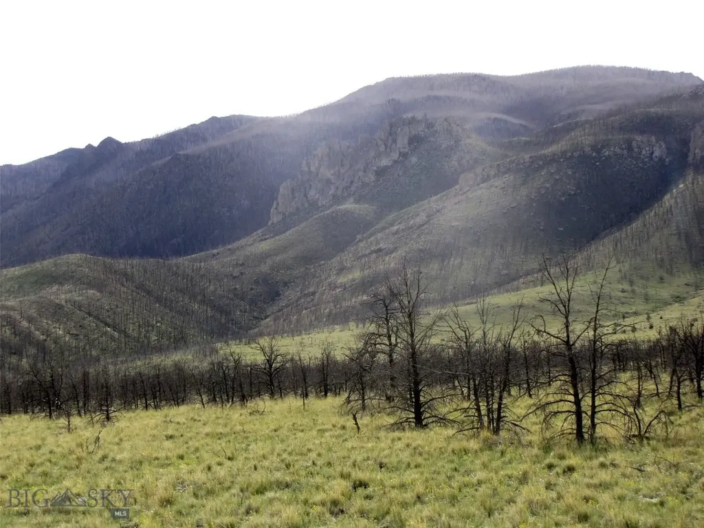 Tbd Ranger Way Red Lodge MT 59068