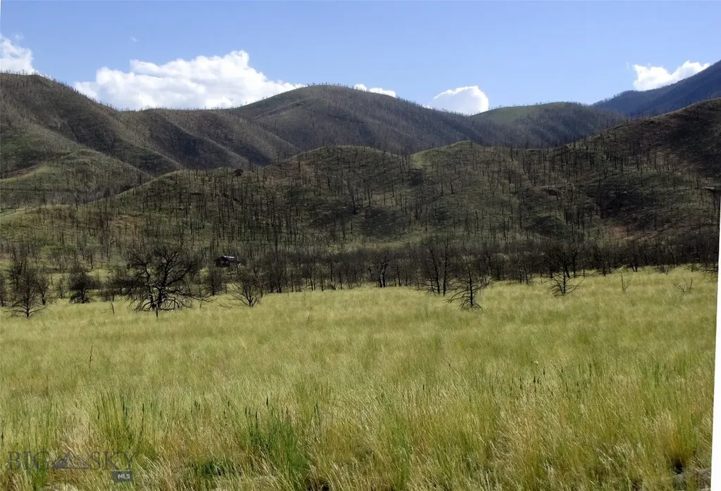Tbd Ranger Way Red Lodge MT 59068