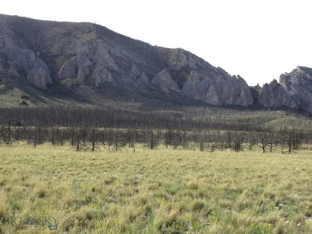 Tbd Ranger Way Red Lodge MT 59068