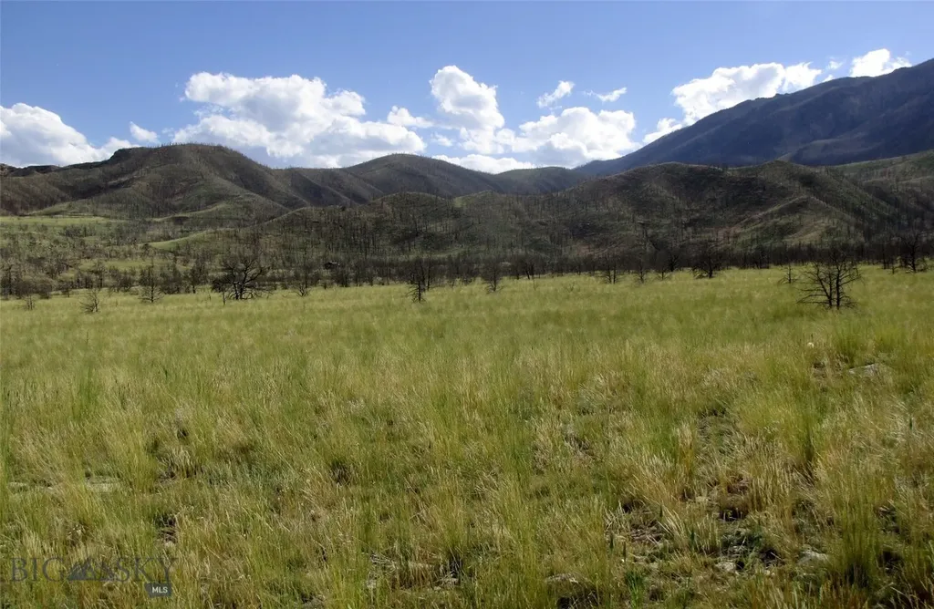 Tbd Ranger Way Red Lodge MT 59068