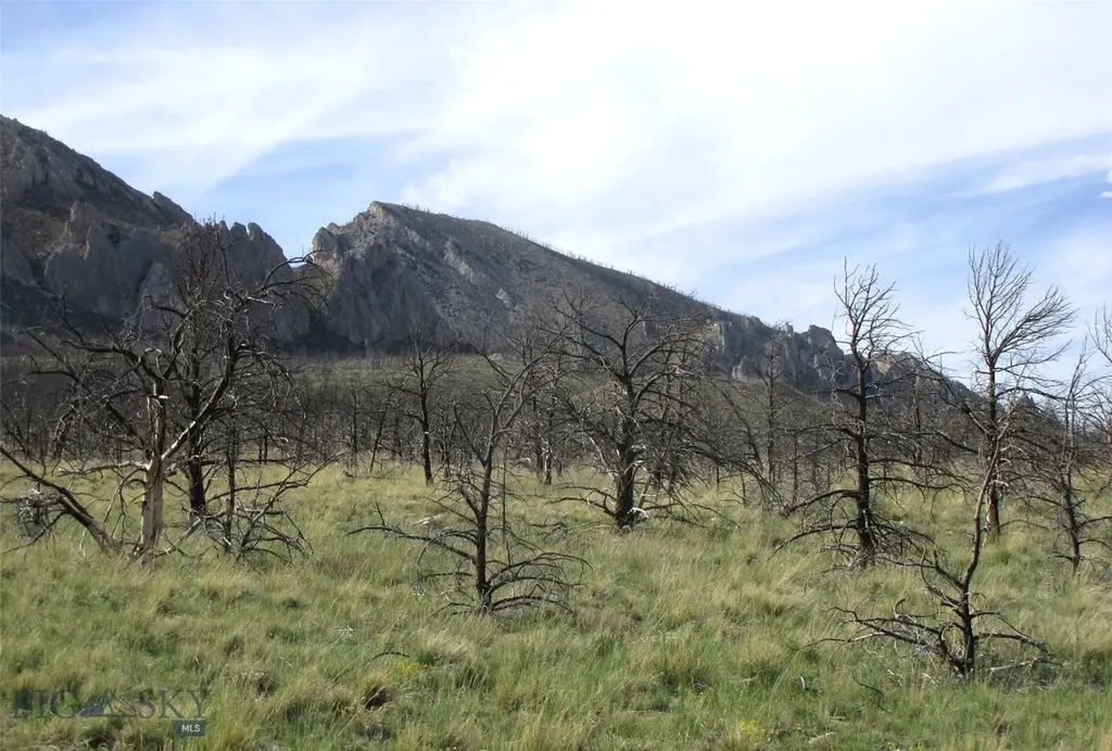 Tbd Ranger Way Red Lodge MT 59068
