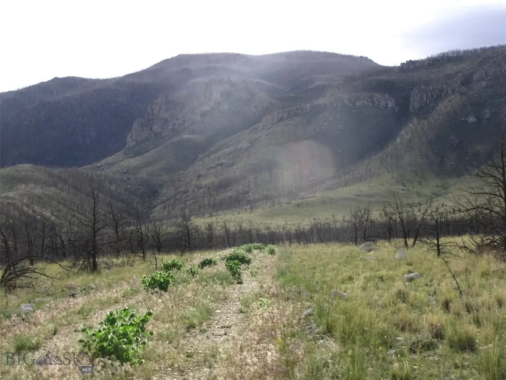 Tbd Ranger Way Red Lodge MT 59068