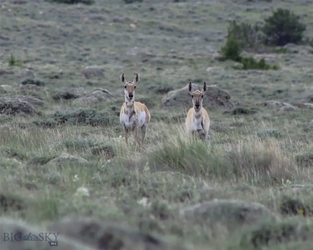 Tbd Ranger Way Red Lodge MT 59068