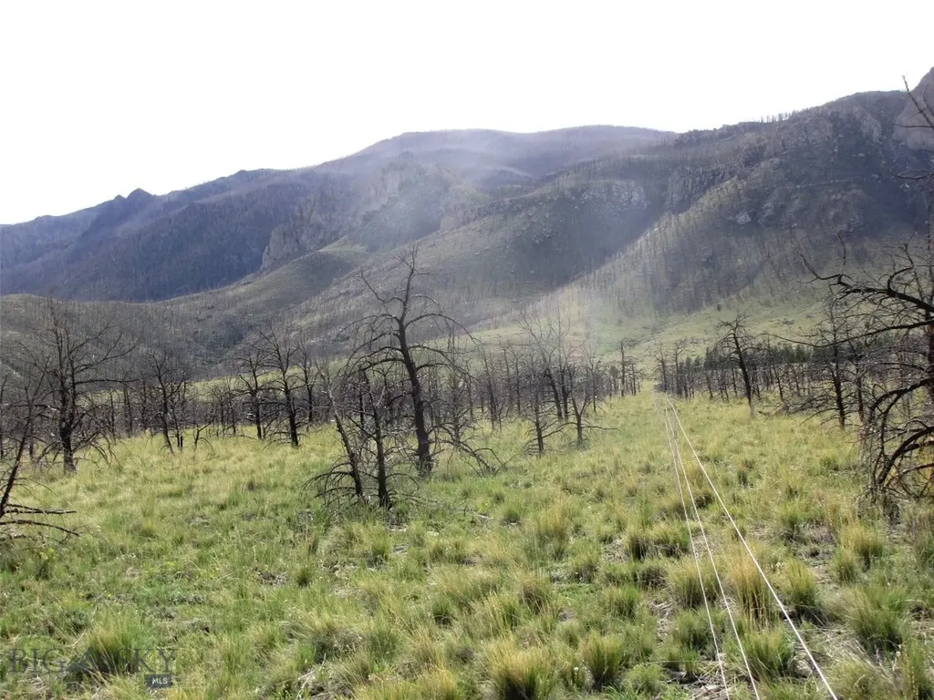 Tbd Ranger Way Red Lodge MT 59068