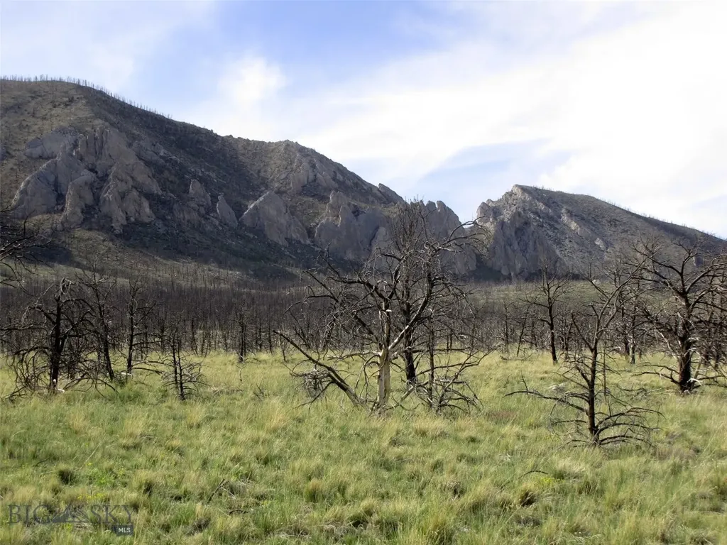 Tbd Ranger Way Red Lodge MT 59068