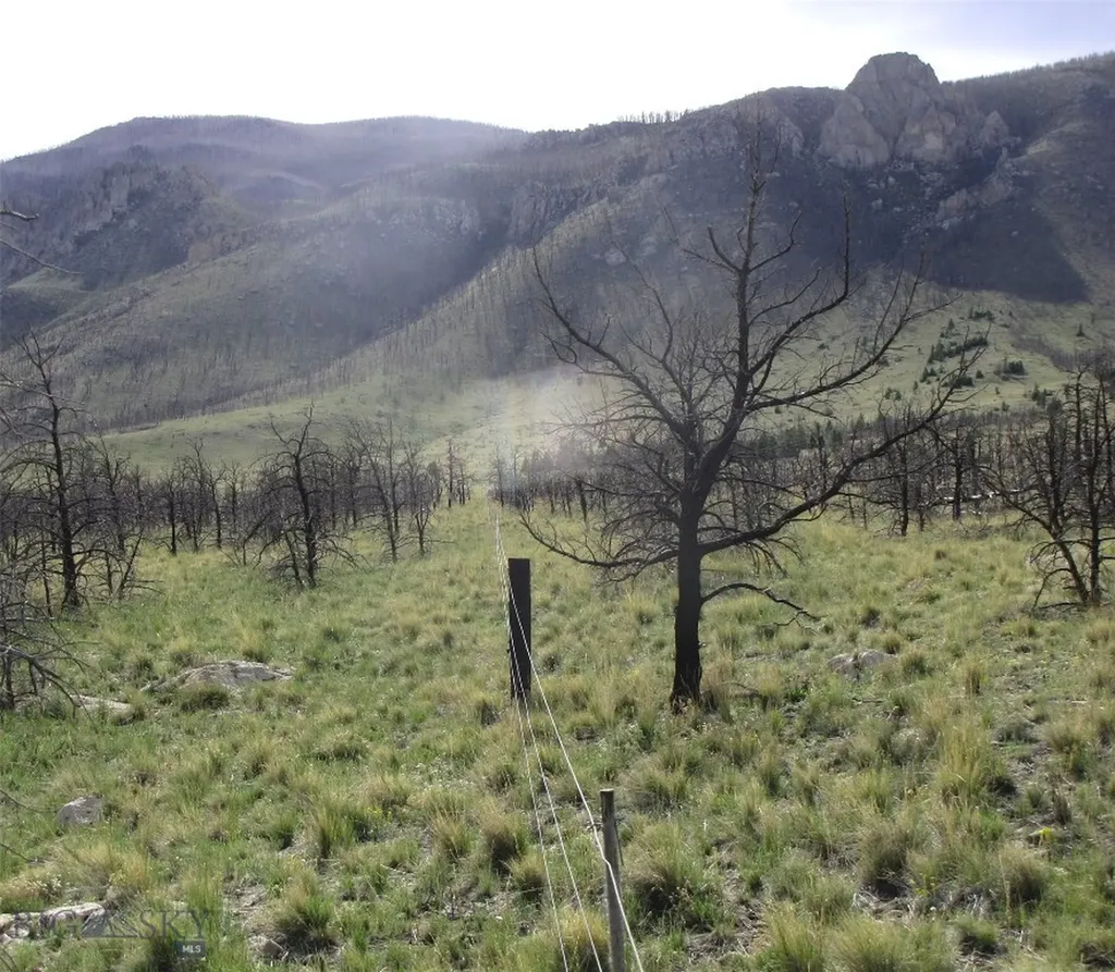 Tbd Ranger Way Red Lodge MT 59068