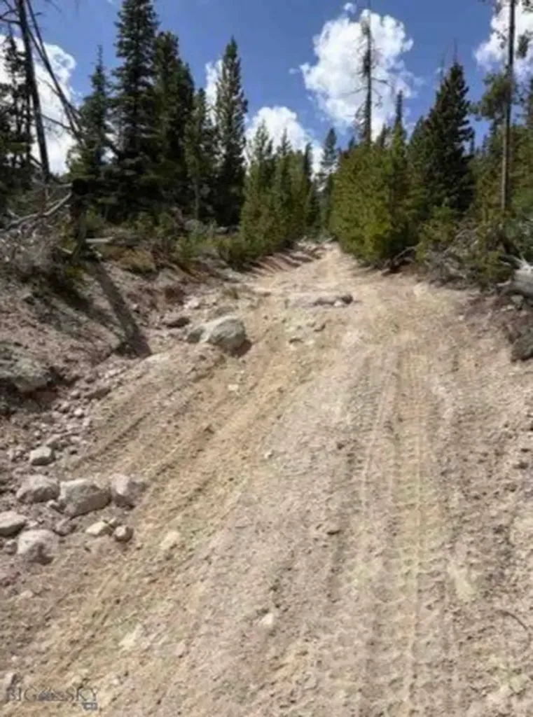 Nhn Corral Gulch Clancy MT 59634