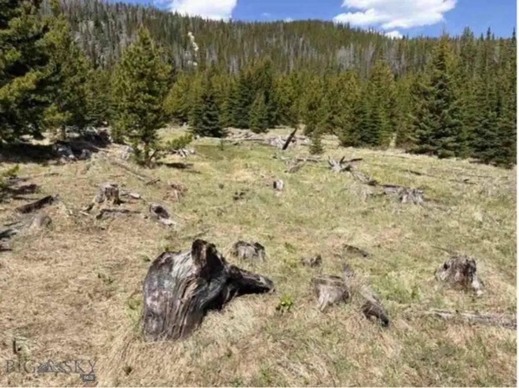 Nhn Corral Gulch Clancy MT 59634