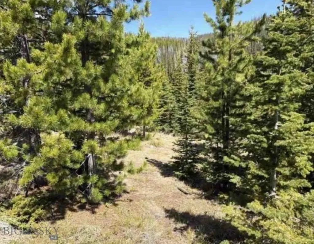 Nhn Corral Gulch Clancy MT 59634