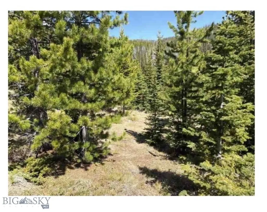 Nhn Corral Gulch Clancy MT 59634