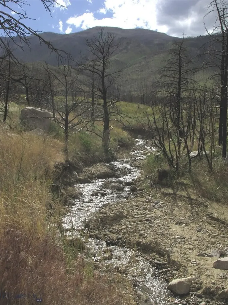 Nhn Ranger Way Red Lodge MT 59068