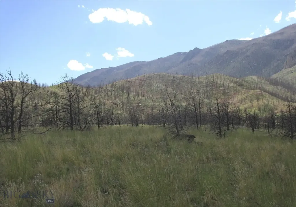 Nhn Ranger Way Red Lodge MT 59068