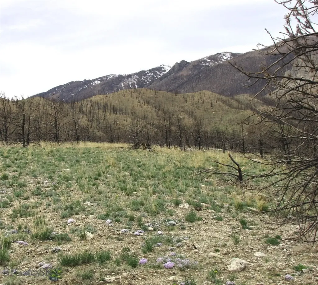 Nhn Ranger Way Red Lodge MT 59068