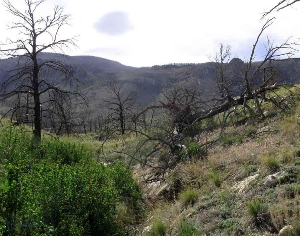 Nhn Ranger Way Red Lodge MT 59068