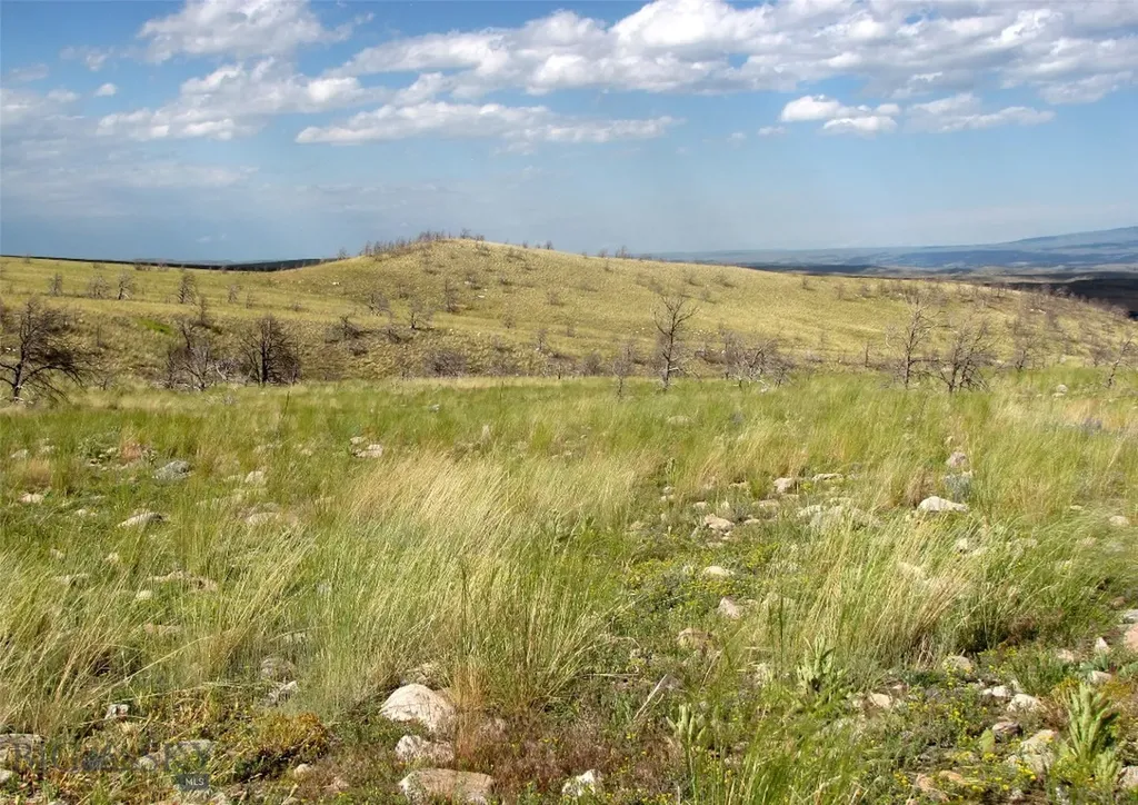 Nhn Ranger Way Red Lodge MT 59068